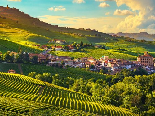 Hotelaanbieders.nl Geniet tijdens een 8- of 10-daagse wijntour door Italië in 4*-hotels incl. ontbijt, 3x diner en wijnproeverijen!