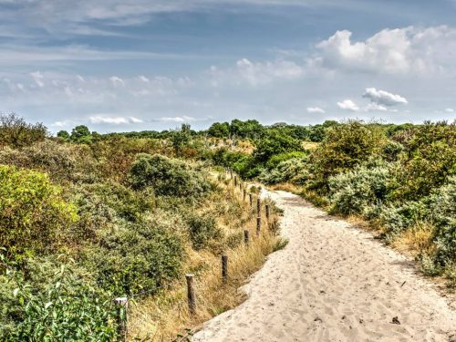 Hotelaanbieders.nl STUNT!⚡Verblijf tussen de duinen, bos en nabij het strand in Rockanje