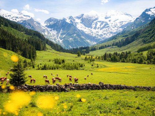 Hotelaanbieders.nl Prachtig hotel met WELLNESS in het betoverende Salzburgerland, Oostenrijk incl. ontbijt, fijne EXTRA'S én GRATIS parkeren!