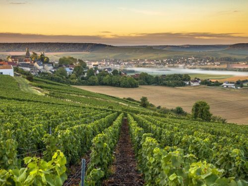 Hotelaanbieders.nl Verblijf in Reims incl. drankje en audiotour in een Champagnekelder