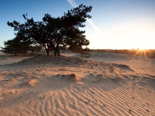 Hotelaanbieders.nl Luxe hotel dichtbij de Loonse en Drunense Duinen in Kaatsheuvel incl. ontbijt