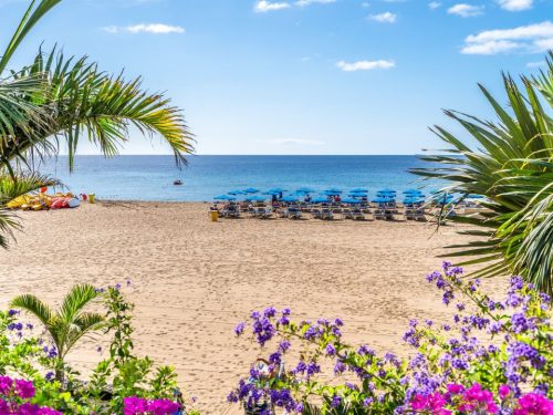 Hotelaanbieders.nl Verblijf in een appartement in Puerto del Carmen op Lanzarote o.b.v. halfpension of all-inclusive! Incl. vlucht en transfer