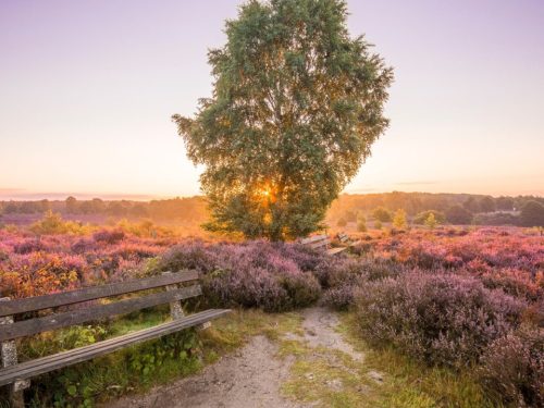 Hotelaanbieders.nl Verblijf in het hart van de Veluwe in Beekbergen o.b.v. halfpension