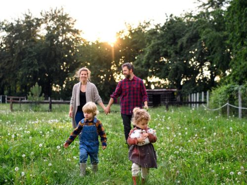 Hotelaanbieders.nl Landelijk genieten met het gezin tijdens een vakantie in De Johanneshoeve in Twente incl. ontbijt