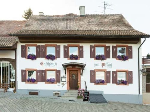 Hotel Landgasthof zum Pflug