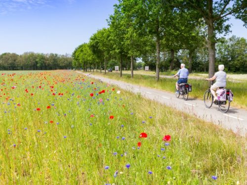 Hotelaanbieders.nl Ontdek de mooiste fietsroutes in de natuur van Drenthe rondom Brinkhotel Zuidlaren
