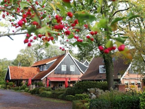 Hotel Restaurant Het Ros van Twente
