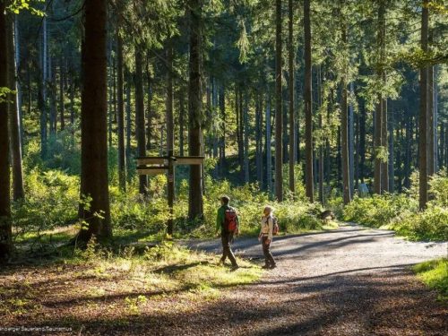 Hotelaanbieders.nl Mega JUNI last minute 3=2! ⚡ 4-daagse vakantie naar Sauerland nabij Winterberg! Hotel met ZWEMBAD incl. ontbijt, ijsje & GRATIS parkeren en meer!
