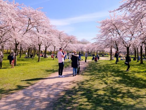 Hotelaanbieders.nl TOPDEAL! ⚡ Verblijf in een luxe 4*-hotel in Amstelveen bij het Bloesempark in het Amsterdamse Bos incl. heerlijk ontbijt!