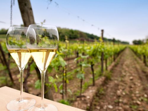 Hotelaanbieders.nl Geniet tijdens een 6-daagse Prosecco Tour door Veneto, Italië in een 4*-hotel incl. ontbijt, 1 x 3-gangendiner, 1 x lunch en 5 wijnproeverijen!