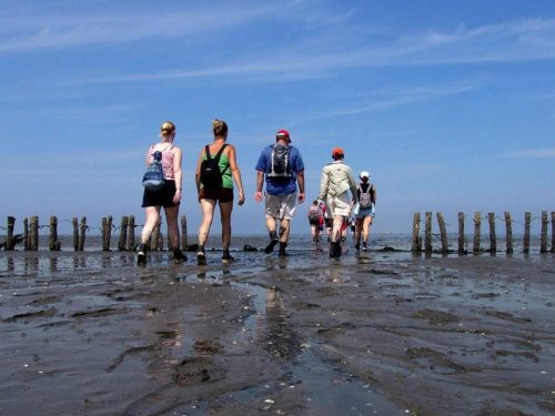 Hotelaanbieders.nl MEGA DEAL! ⚡ Uitwaaien bij de Waddenzee in het Groningse Pieterburen en overnacht op splinternieuwe LUXE Swiss Sense bedden incl. ontbijt, WELLNESS & late checkout