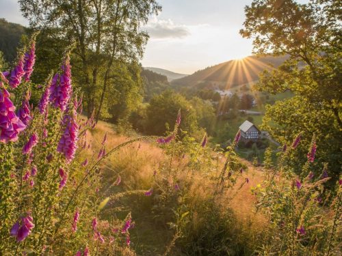 Hotelaanbieders.nl Een heerlijke vakantie in het Sauerland tussen Winterberg en Schmallenberg incl. ontbijt + Sauerlandkaart voor leuke extra's