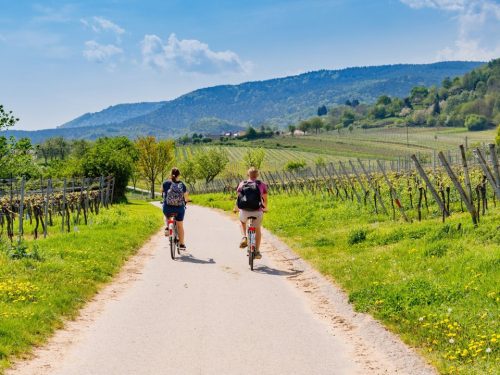 Hotelaanbieders.nl ALL-INCLUSIVE in het hart van de Duitse Eifel incl. GRATIS wandel- en fietsroutes & parkeren!