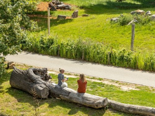Hotelaanbieders.nl FLASHDEAL! ⚡ 3 dagen Zuid-Limburg incl. ontbijt, 1 x wandel- of fiets lunchpakket, 2 x diner & GRATIS routes!