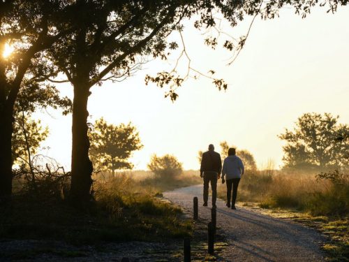 Hotelaanbieders.nl Midden in het wandel- en fietsgebied nabij Valkenburg incl. ontbijt