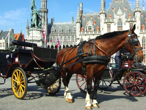 Hotelaanbieders.nl Geniet in hartje Oostende nabij Brugge en ontdek de Belgische kust incl. ontbijt