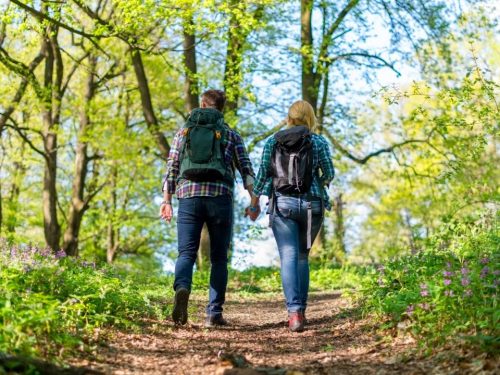 Hotelaanbieders.nl Verblijf in een voormalige burgemeesterswoning bij Overijssels Vechtdal incl. ontbijt